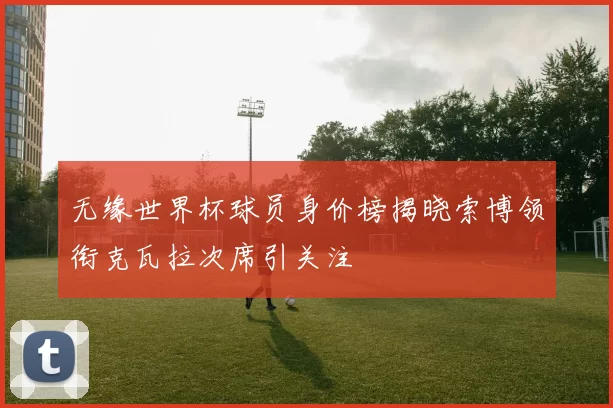 无缘世界杯球员身价榜揭晓索博领衔克瓦拉次席引关注