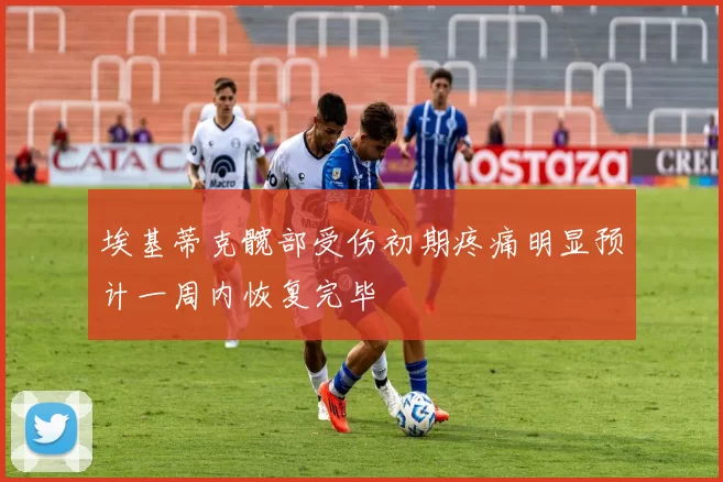 埃基蒂克髋部受伤初期疼痛明显预计一周内恢复完毕